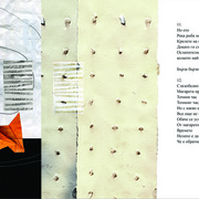 Videnia2_card