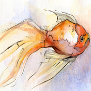 Fish_card