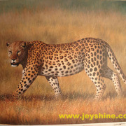 Leopard-012_card