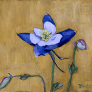 0834-columbine-500_card