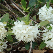 Dsc05743a_card