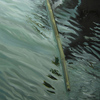 Acqua_thumb
