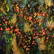 Image12-sm_card