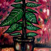 Zebra_plant_card