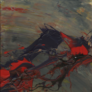 Img227_card