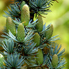 101_4034_thumb