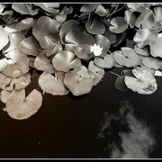 ______2432-1_card