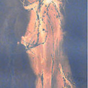 1084615-1-the-other-side_1__card