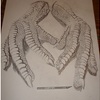 Chicken_feet_thumb