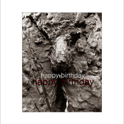 Kamennyj_gost__copy_card
