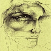 Studio_di_viso_card