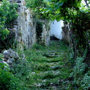 Dsc05907-22_card