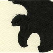 Pit6_card