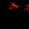 Dsc_0067_thumb