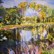 P1012579_card