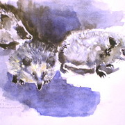P1011942_card
