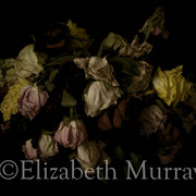 Rose_11__card