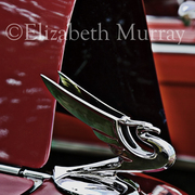 Car_1_11x14_card