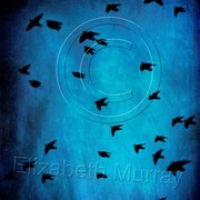 Birds_1_card