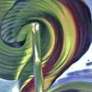 003__3__inset_card