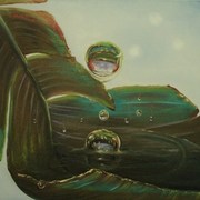 Gota_d_agua_8_60x80_ost_inset_card