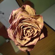 Dsc03379a_card