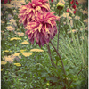 1028_thumb
