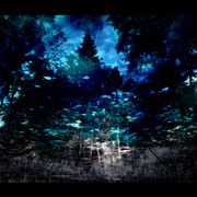 Untitled-rt1_card