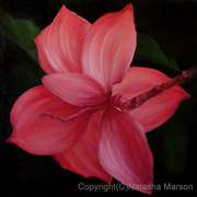 Red_flower-nm_card