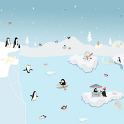 Alaska_card