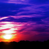Dsc_0031_9_thumb