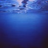 Landscape-13_thumb