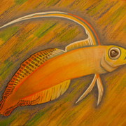 P1040287_card