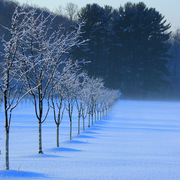 Img_7456_card