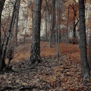 Dsc035491_card