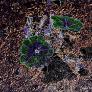 Dscf0131_card