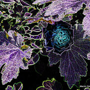 Dscf0136_card
