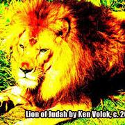 L_ee871696a0a84014eb5844c412d95aef_card