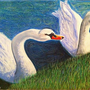 Swans__by_yael_burin_card