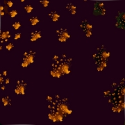 Asteroid_card