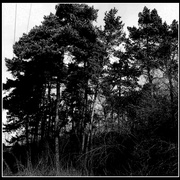 ______1468-1_card