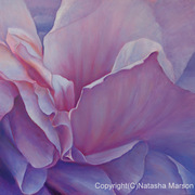 Petals-nm_card