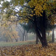Dsc03595_card