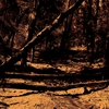 _____________________22-8-2011_037_thumb