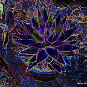 Dscf6288-a_card