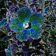 Dscf1699-a_card