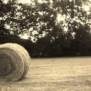 Img_0831_card