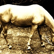 Img_0860_card