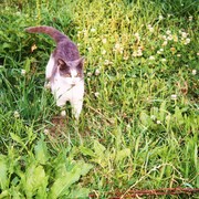 Img_0794_card