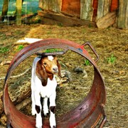 Img_0781_card